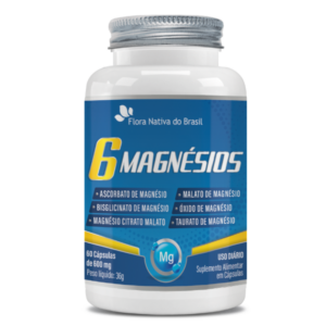 6_MAGNÉSIOS